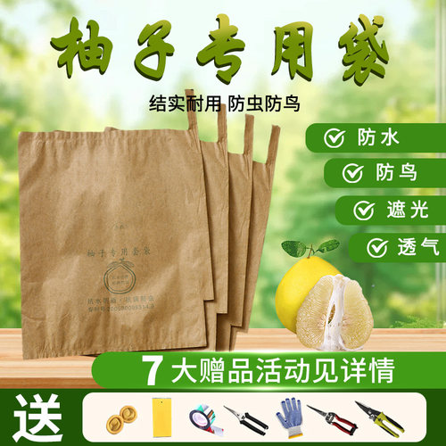 柚子套袋专用袋蜜柚葡萄柚防虫早熟沙田柚单双层保护袋柚子果套袋