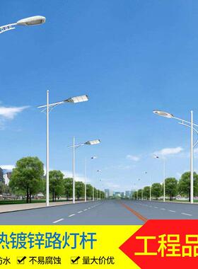 LED路灯单头双头3米6米8米10米12米15米超亮新农村建设小区道路灯