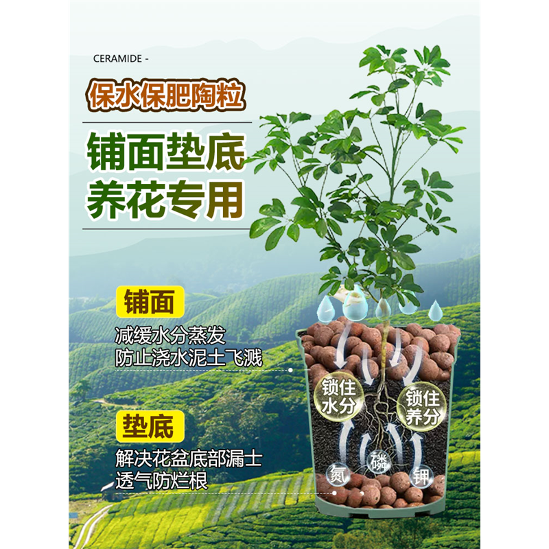 陶粒垫底养花专用多肉营养土花盆花卉回填鱼缸水培铺面火山石颗粒