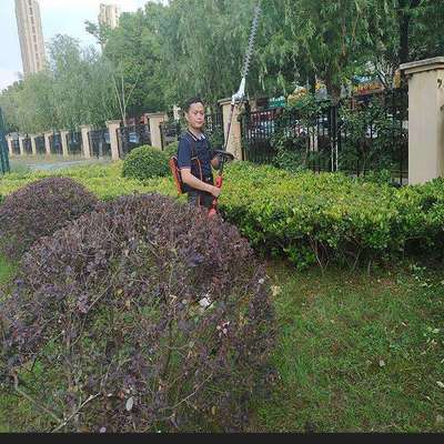 丸中高枝锯背负式锂电充电式高枝绿篱机大功率宽带续航修剪绿篱机