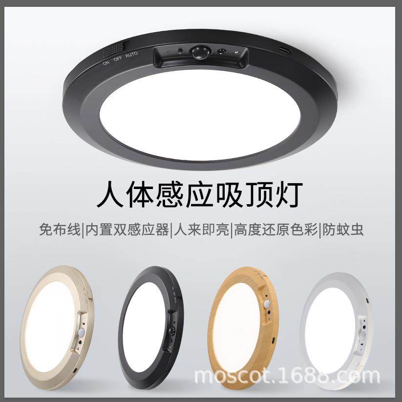 跨境爆款免布线充电人体感应吸顶灯楼道过道入户走廊大号小夜灯,鲜花速递/花卉仿真/绿植园艺,割草机/草坪机,淘宝优惠券,粉丝福利购,淘宝优惠卷