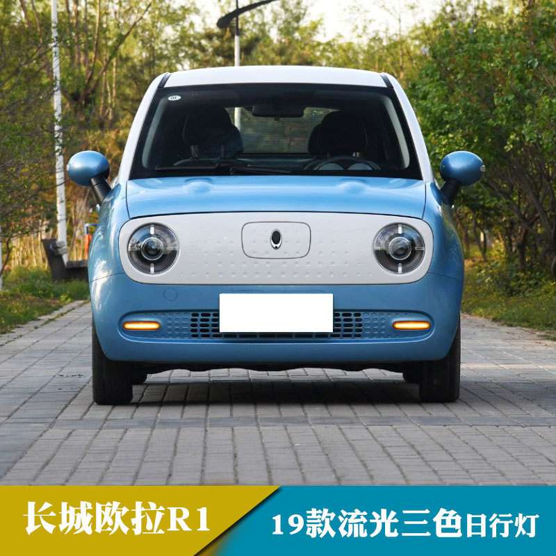 适用于19长城欧拉R1日行灯改装流光转向日间行车灯前雾灯