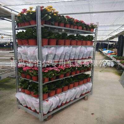 标准1350*565*1900 mm 胶合板鲜花周转车 花架车花卉周转车