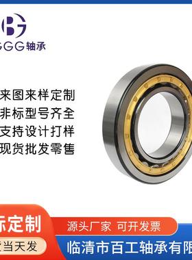 ZSL 192315 19231 6 7 8 9 SL182917 SL182218 SL183016 PP 轴承