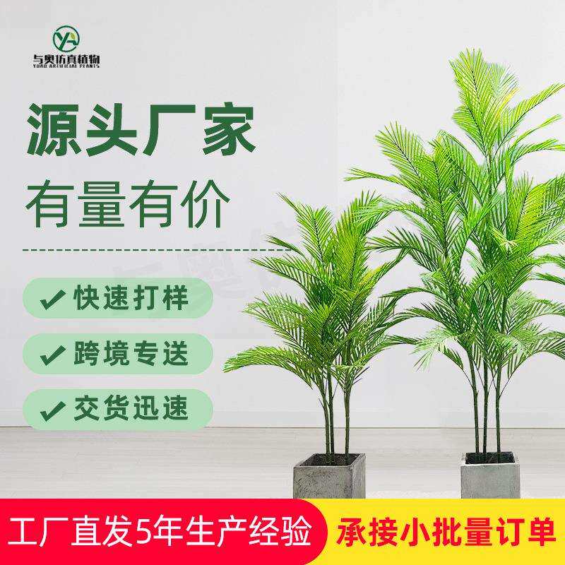 仿真绿植散尾葵凤尾葵客厅室内仿生假植物假树仿真树落地摆件盆栽