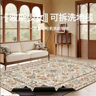 可机洗地毯客厅2025新款沙发卧室地垫家用可拆洗高级复古波斯地毯