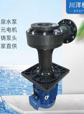 台泉牌废气塔槽内外FRPP泵 工程塑料PP立式化工泵 配东元电机