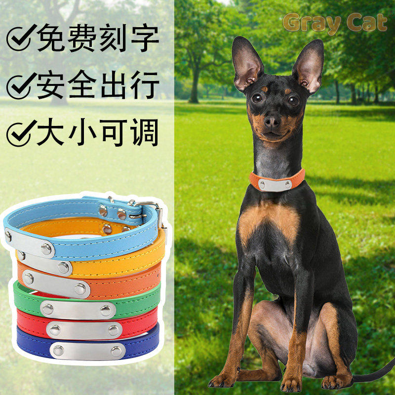 小鹿犬吉娃娃专用项圈小狗狗颈圈刻字定制名字幼犬脖圈防丢失走丢