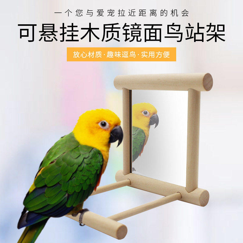 鹦鹉实木站杆镜子悬挂架解压玩具互动中小鸟笼子玄凤牡丹虎皮用品