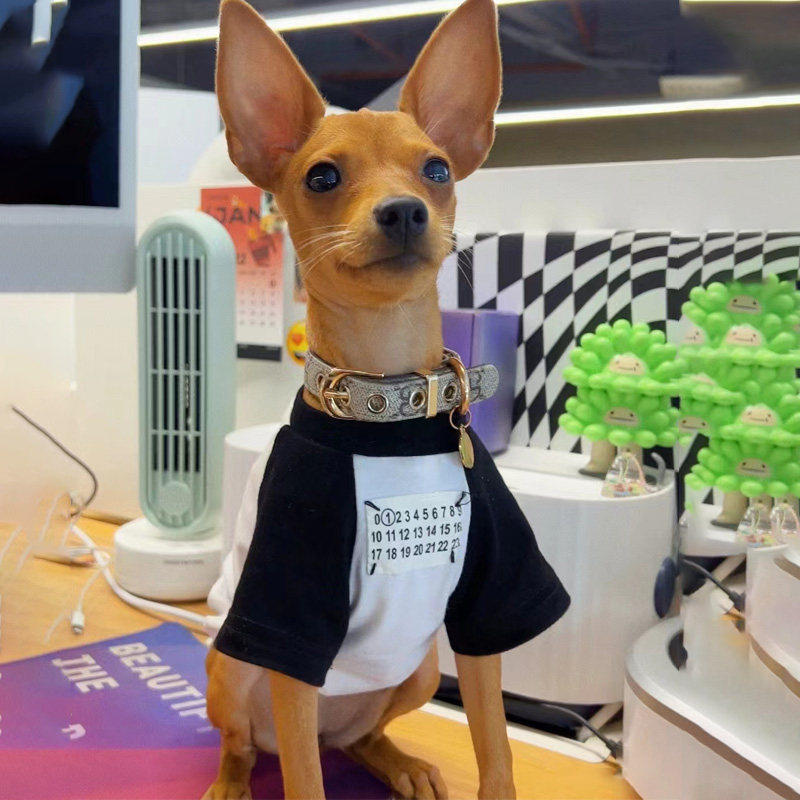 迷你杜宾小鹿犬专用衣服小狗狗鹿娃犬吉娃娃夏季秋天款薄款小体犬