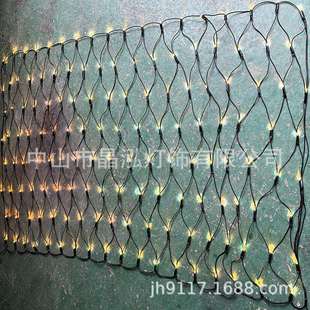 跨境橡胶线灌胶LED网灯节日商场景观装 2m256灯LED网灯 饰灯220V2
