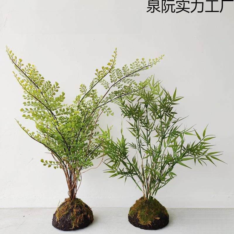 高级时尚蕨类植物盆栽蕨叶竹子盆栽景新中式样板房装饰茶室摆件