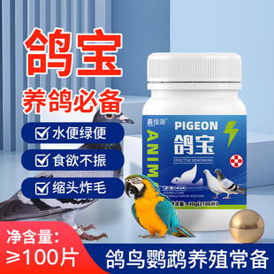 鸽宝赛鸽种鸽信鸽幼鸽动物鸡鸭鹅鸽鹌鹑禽养殖饲料添加剂