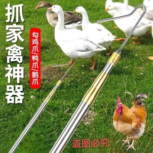抓鸡神器逮鸡钩子捉鸡工具养殖场捕鸡捕鸡鸭捕鹅脚鹅脚套户外捕捉