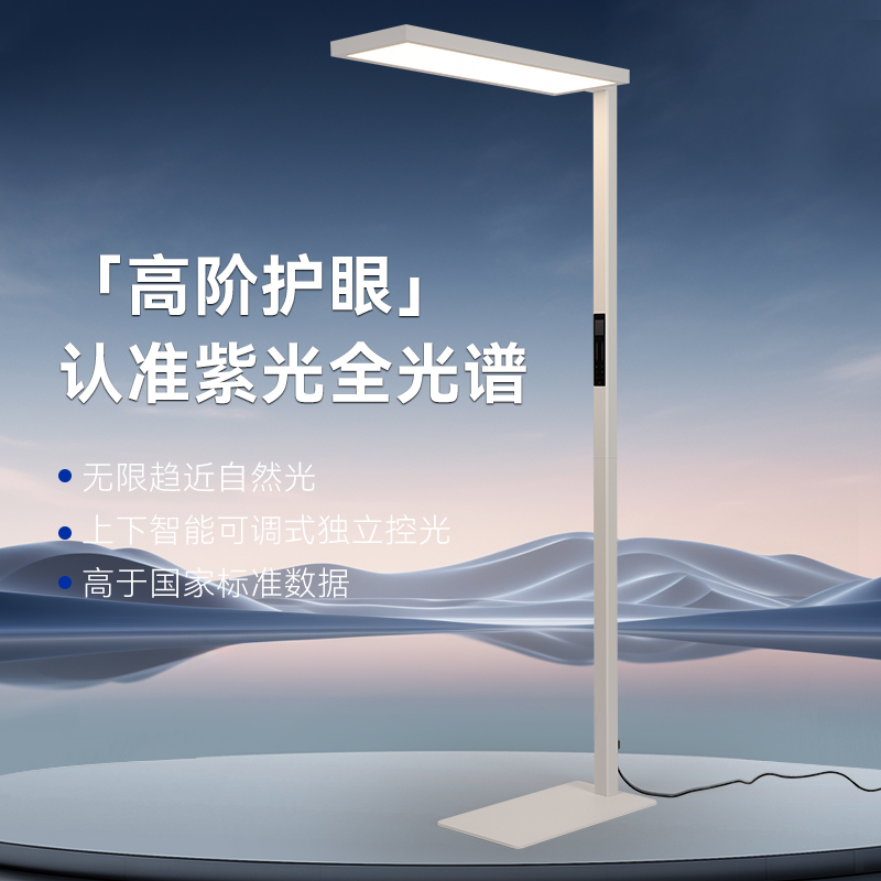 映水华灯紫光大路灯智能语音