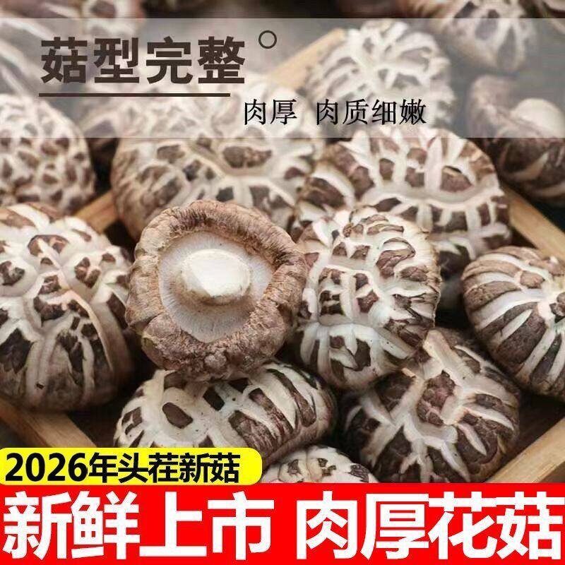 花菇干货特级2026年湖北肉厚花菇煲汤料包无硫熏新鲜香菇随州花菇