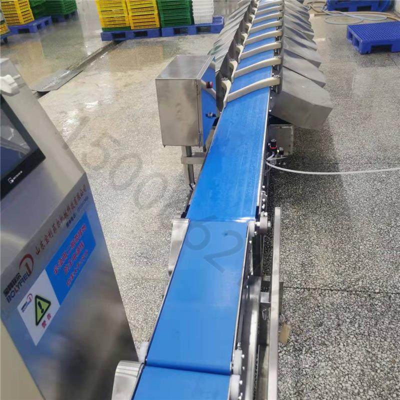 在线称重机 组合秤检重秤组合秤动态检测 克重 机重量选别 皮带秤,五金/工具,皮带秤,淘宝优惠券,粉丝福利购,淘宝优惠卷