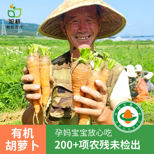 有机胡萝卜新鲜榨汁蔬菜3/5斤装