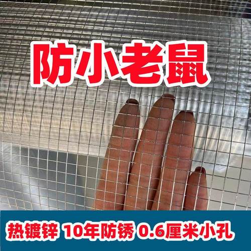 热浸镀锌铁丝网电焊网窗户防盗网防鼠网建筑网钢丝网片养殖围护栏