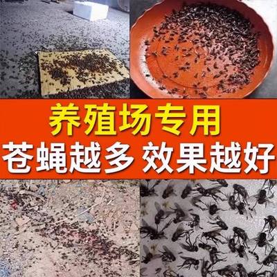极速蚊蝇通d灭养殖场专用牛圈苍蝇的药养猪场灭蝇杀虫强力羊圈驱