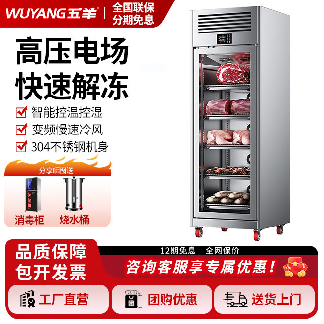 商用解冻柜高压静电解冻低温冷藏大容量抑菌猪羊牛肉化冻机排酸柜