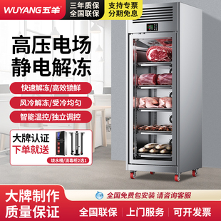 五羊智能解冻柜商用高压静电低温抑菌化冻机冷藏缓化猪羊牛排酸柜