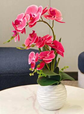 仿真蝴蝶兰白色螺纹盆摆设餐桌客厅盆栽装饰绿植装饰花中国风