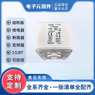 170M6408 170M6409直流快速熔断器 保险丝 高压熔断器熔芯现货