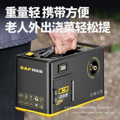 充电式抽水泵家用菜园灌溉浇水机浇菜农用自动吸水小型抽水机