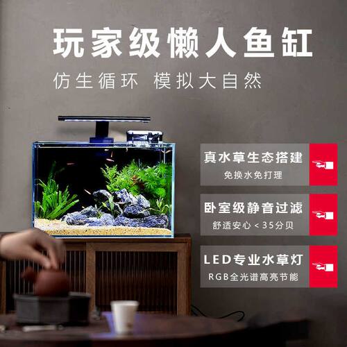 鱼缸客厅小型生态造景全套桌上小鱼缸桌面电视柜旁家用免换水超白