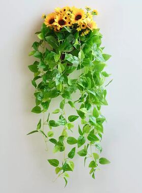墙面装饰花壁挂花篮挂墙花盆壁挂植物墙壁装饰挂件房间装饰品创意