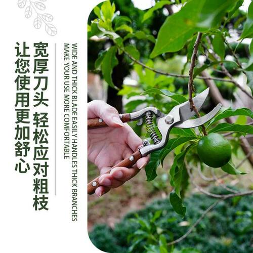 小巧匠园林果树剪花园剪园艺专用修枝剪树枝剪叶芽剪刀强力摘果剪