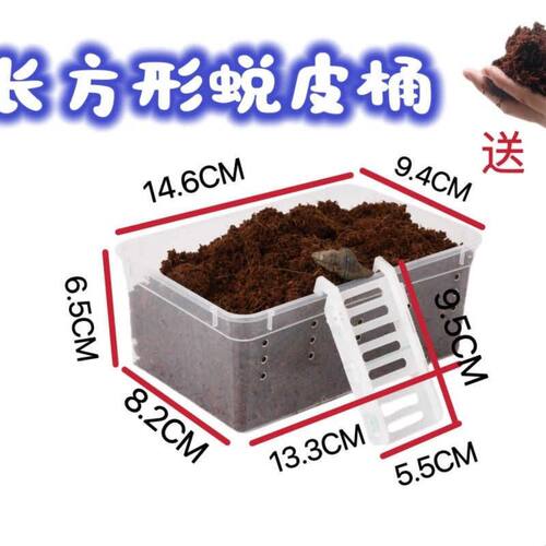 寄居蟹蜕皮缸内置迷你隔离桶防打扰爬宠助脱皮亚克力箱养蟹套餐盒