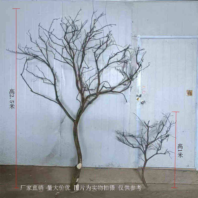 树枝树干装饰造景原木枯枝装饰酒店设计吊灯墙壁酒店婚庆道具摆件