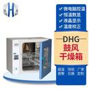 DHG鼓风干燥箱电热恒温鼓风干燥箱小型实验室烘干箱恒温箱