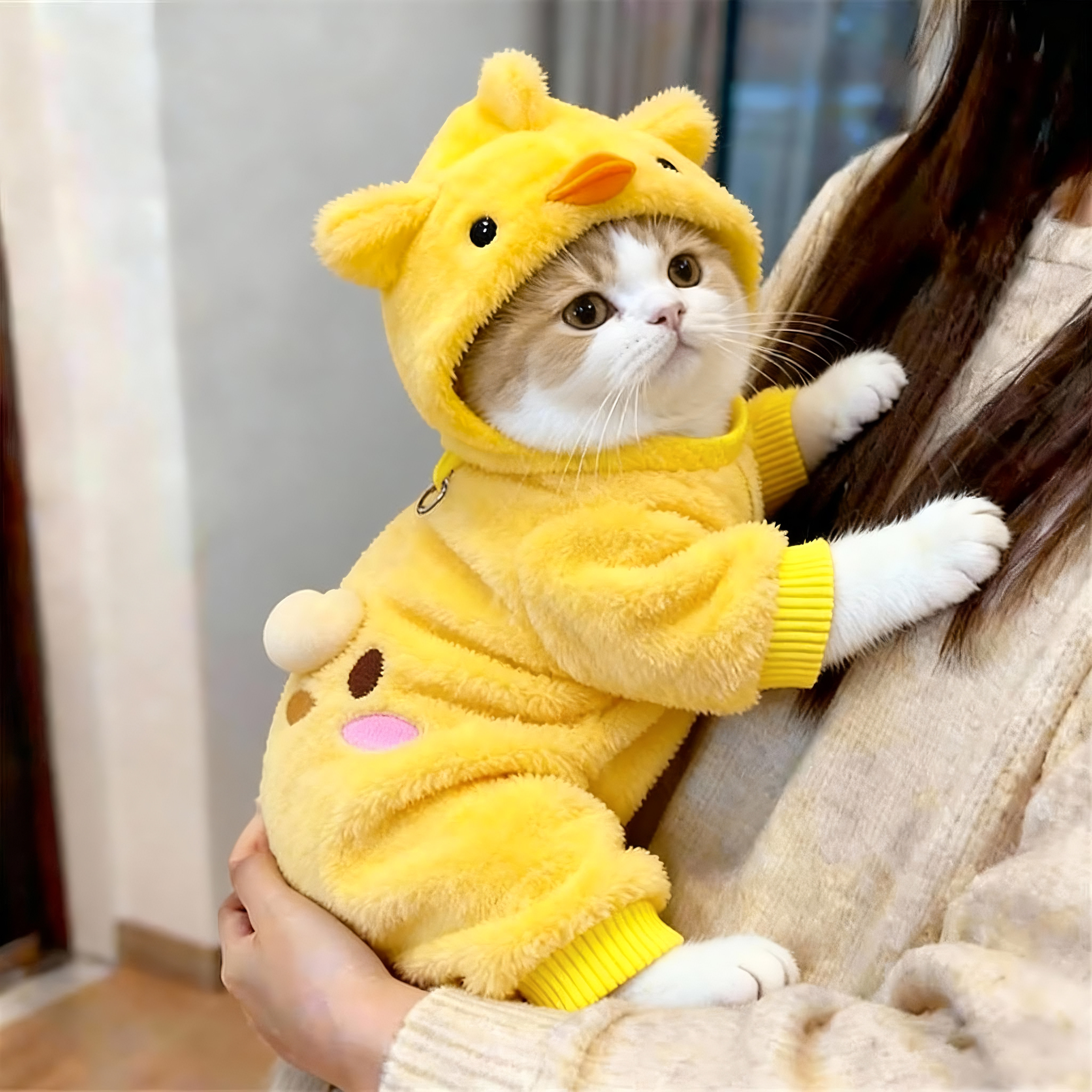 猫咪衣服套装萌趣小黄鸭超可爱防掉毛可牵引秋冬款薄绒小型犬服装,宠物/宠物食品及用品,猫宠物服装/雨衣（新）,淘宝优惠券,粉丝福利购,淘宝优惠卷