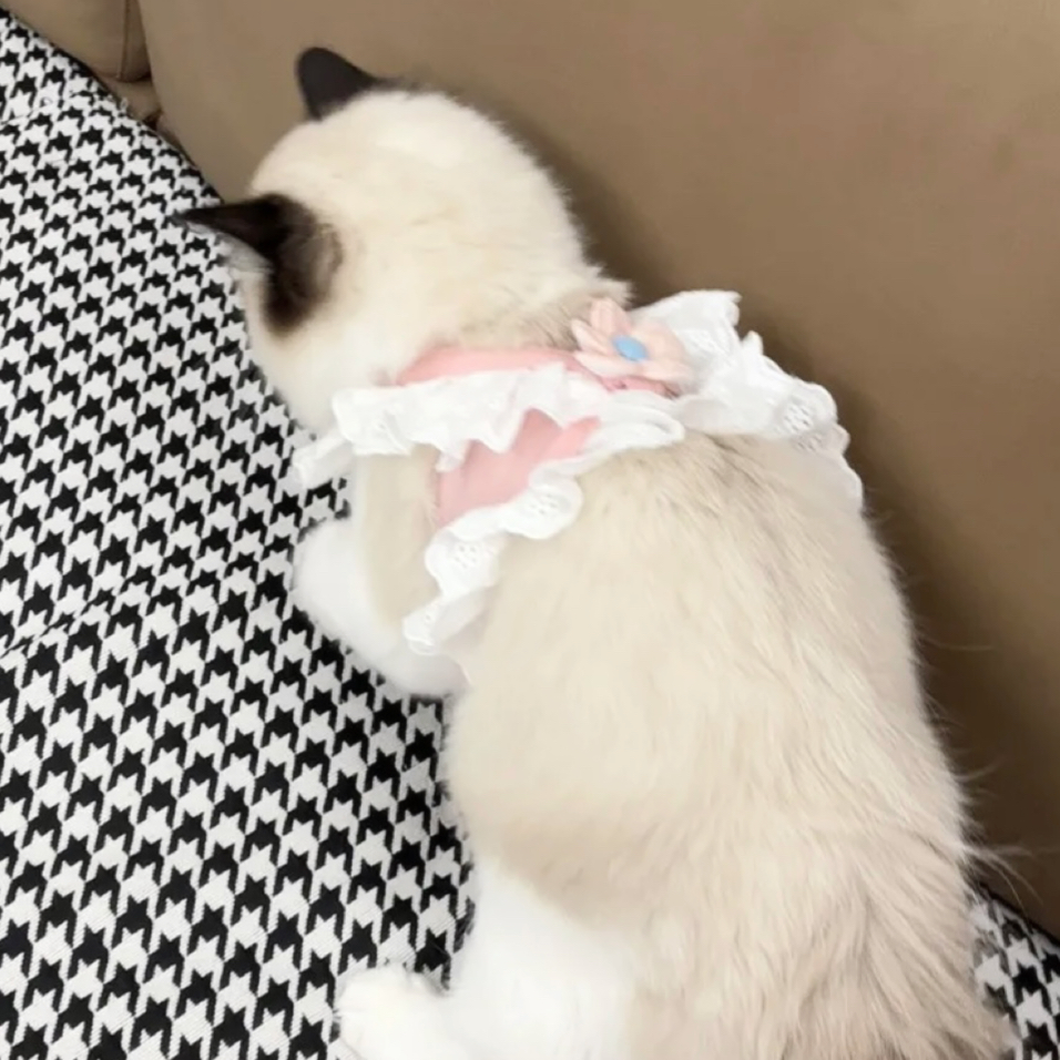 猫咪牵引绳可调节带小花防挣脱