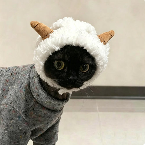 猫狗小羊漏耳毛绒保暖帽搞怪头套