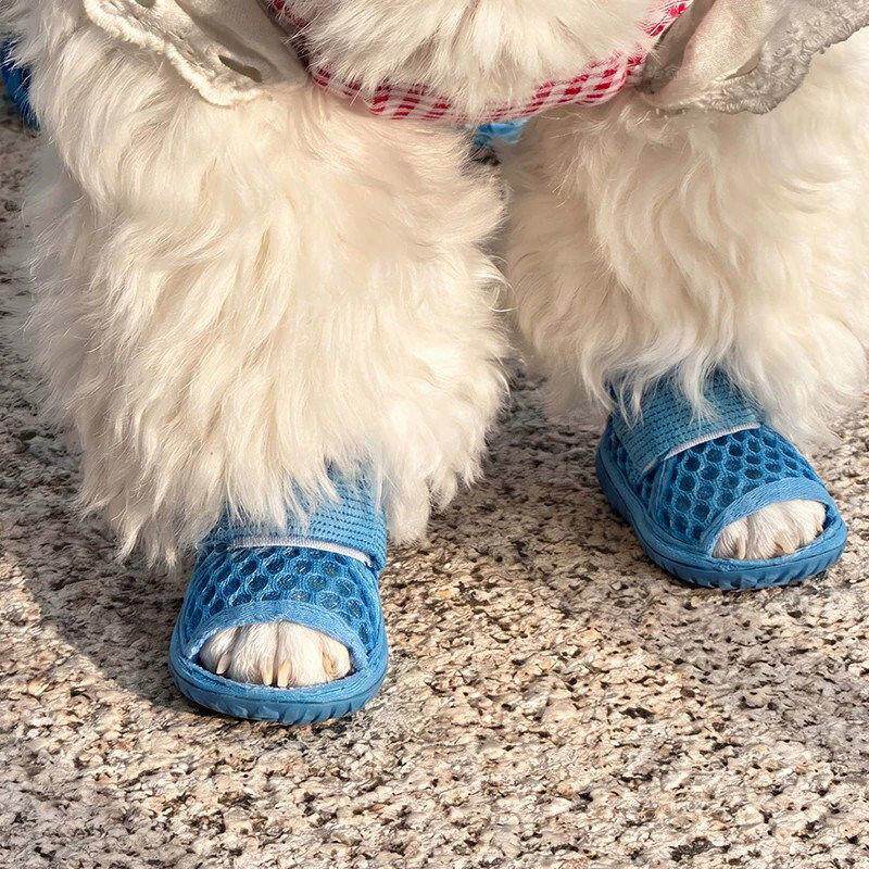 新款狗狗鞋子透气小型犬户外防烫脚松紧弹力绑带网鞋软底宠物凉鞋图片