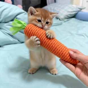 猫咪玩具纸绳胡萝卜造型逗猫棒橙色发声幼猫互动磨牙解闷自嗨神器