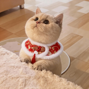 猫咪围巾新年加厚后劲防冻拜年喜庆刺绣贵妃披肩服装拍照打卡神器