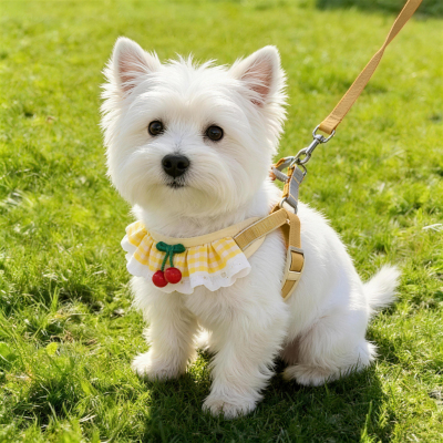 狗狗牵引绳胸背猫咪背心式泰迪比熊遛狗绳中小型犬防挣脱外出狗绳