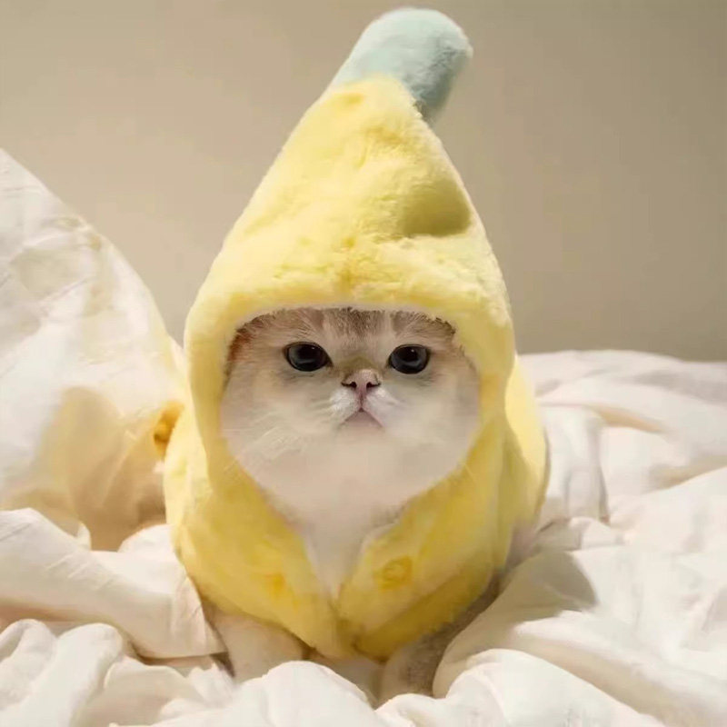 宠物香蕉保暖变身服装