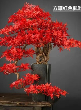 仿真迎客松绿植盆景中式客厅入户玄关办公室假树开业乔迁装饰摆件