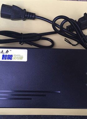 极速绿亮电动车专用充电器36V48V60V64V7I2V48V12AH绿亮适用充电