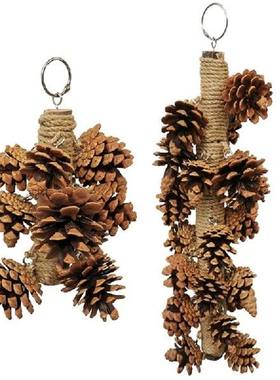 极速Multifunction More Fun Bird Bite Pine Cones KeeYp Beak