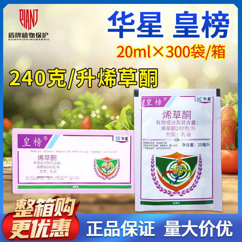 整箱皇榜 24%烯草酮大豆田冬油菜田一年生禾本科杂草农药除草剂