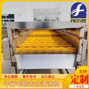 根茎类植物去泥毛辊清洗机土豆萝卜清洗去皮机平行毛辊清洗机