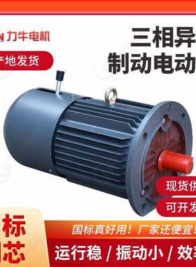 三相异步电动机厂家Y112M-2-4380V三相电机低噪音纯铜线电机马达