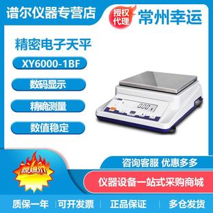 1BF电子天平电子秤0.1g 常州幸运XY6000